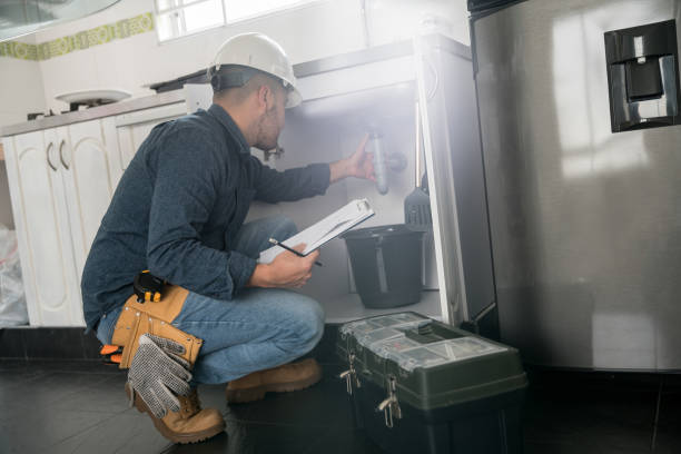 Professional Plumbing in Lake City, MN