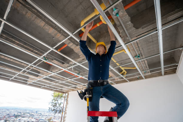 Best Plumbing Repair Near Me  in Lake City, MN