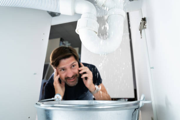 Best Water Softener Installation  in Lake City, MN