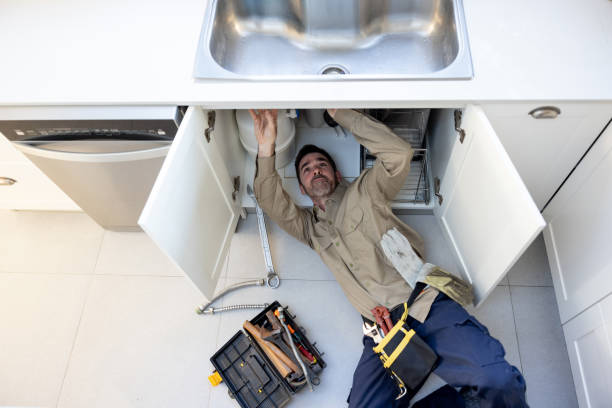 Best Shower Repair Services  in Lake City, MN