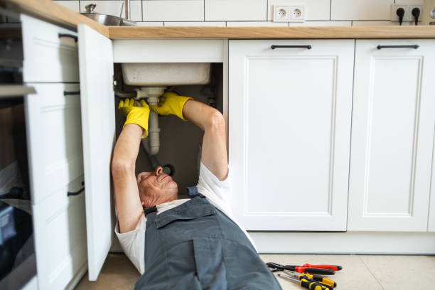 Best Toilet Repair Services  in Lake City, MN
