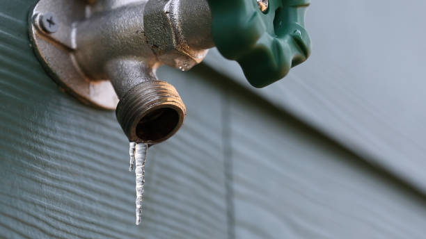Best Water Leak Repair  in Lake City, MN