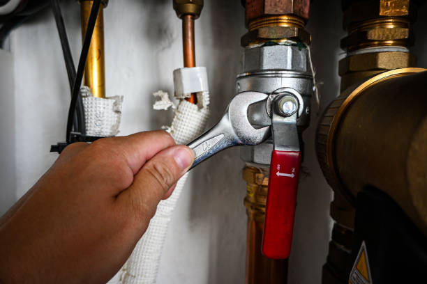 Best Local Plumber Services  in Lake City, MN